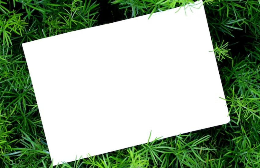 Medical Marijuana Card