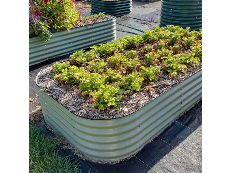 raised garden bed kit