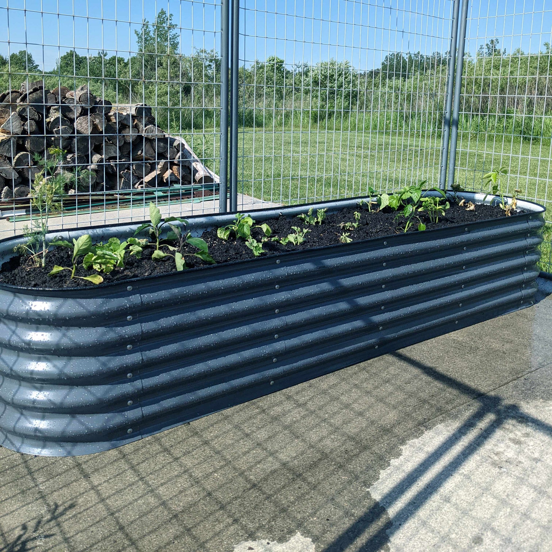 raised garden bed kit 
