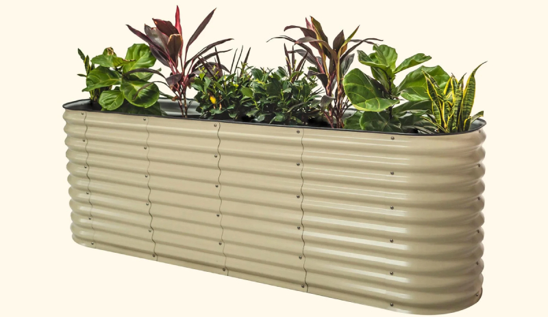 raised cedar garden bed
