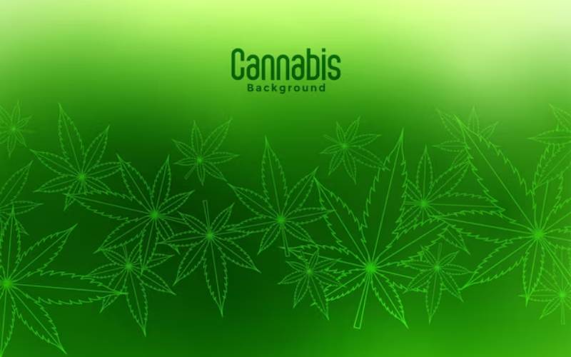 cannabis card Naples
