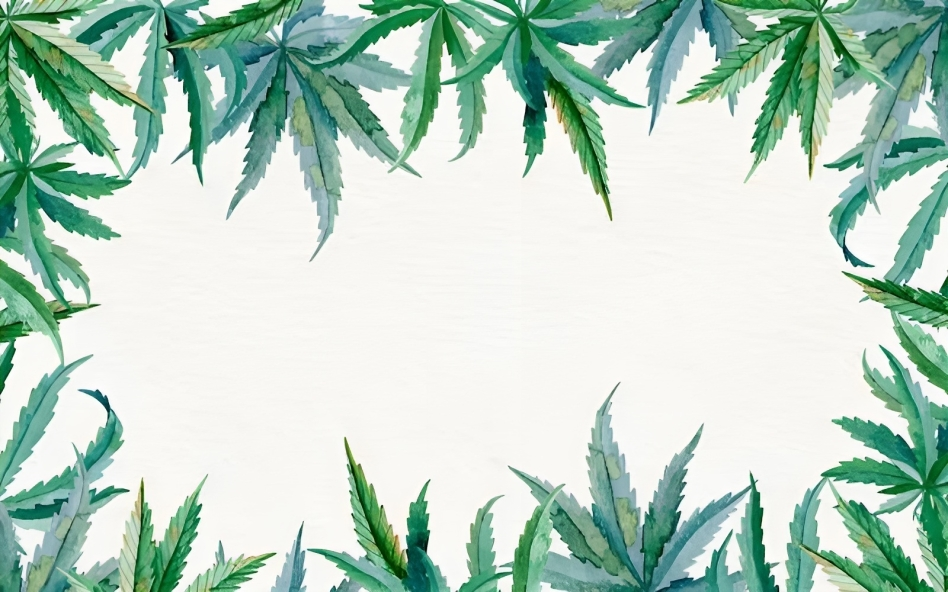 Cannabis Cards Naples