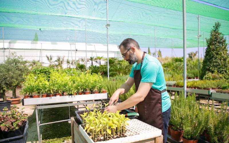 raised garden beds for sale