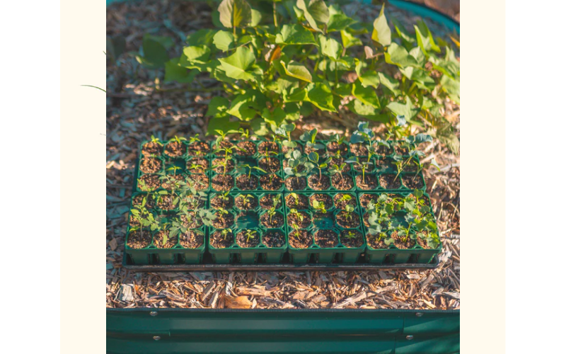 galvanized raised bed planter 
