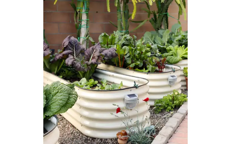 galvanized raised bed planter