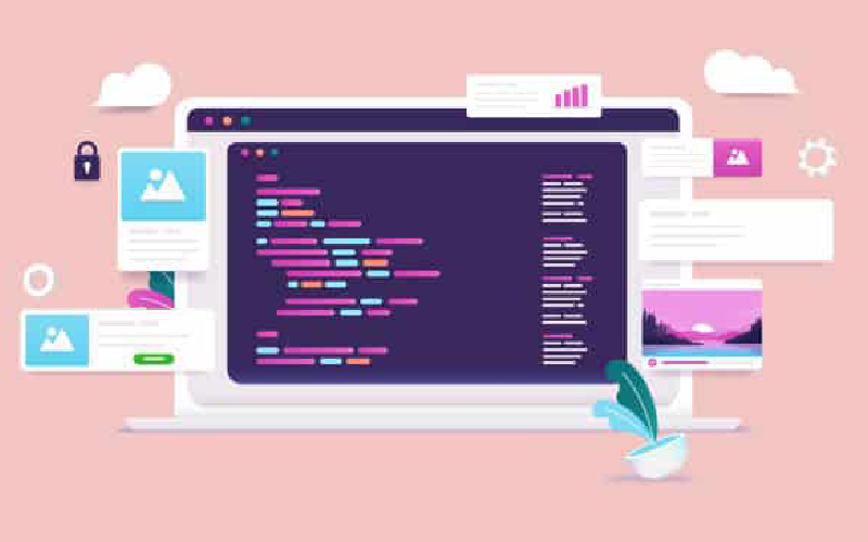 tampa website design 
