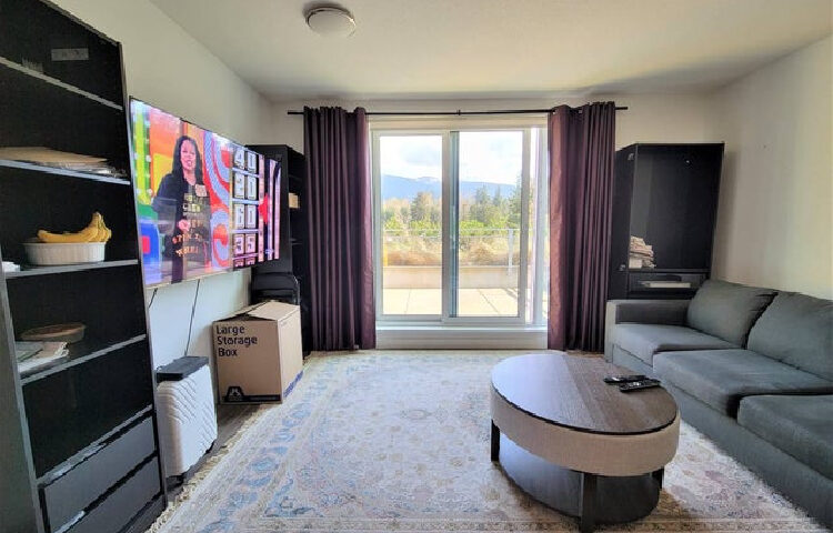 professional property management