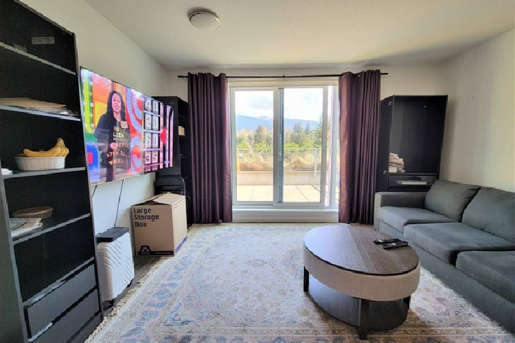 professional property management