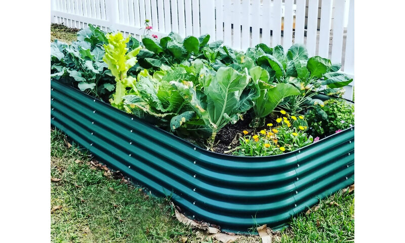 raised garden bed kit