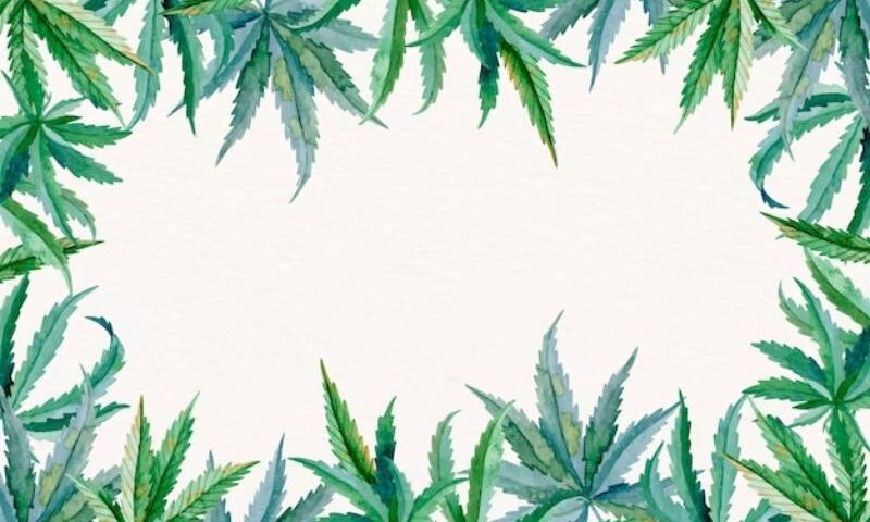 cannabis card Naples