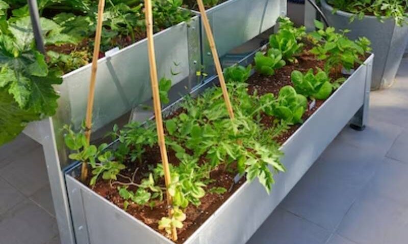 raised garden beds for sale