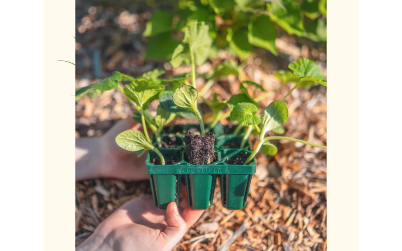 galvanized raised bed planter