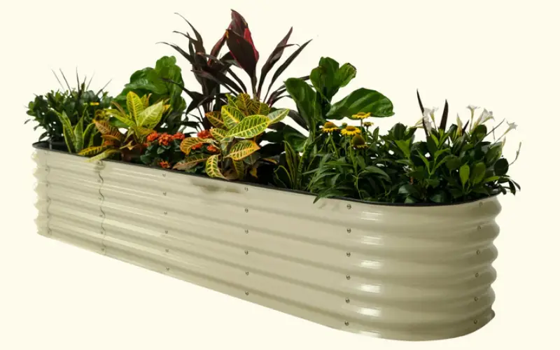 raised garden bed kit