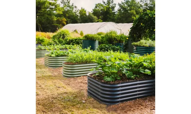 galvanized raised bed planter