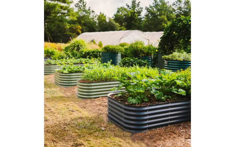 galvanized raised bed planter