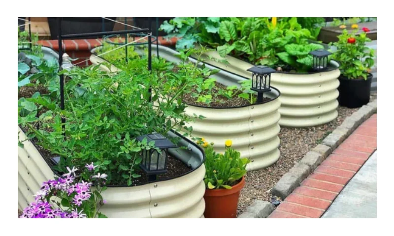 raised garden boxes