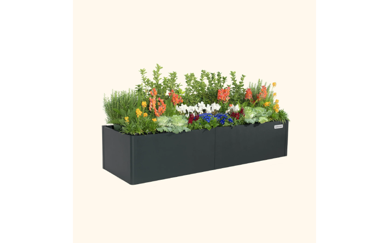 raised garden boxes
