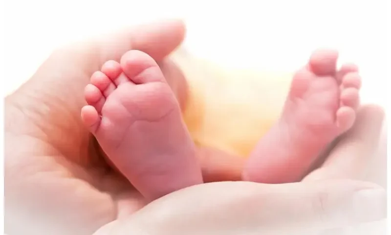 San diego egg donation