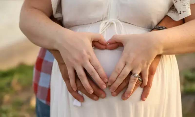 San diego egg donor programs